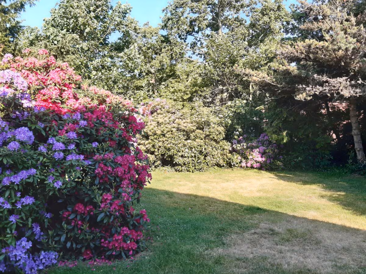 Eingewachsener Garten